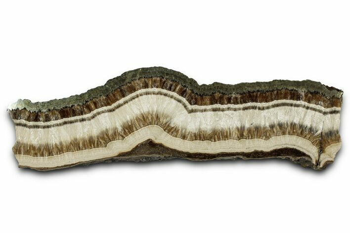 Polished Barite and Marcasite Slab - Lubin Mine, Poland #335171